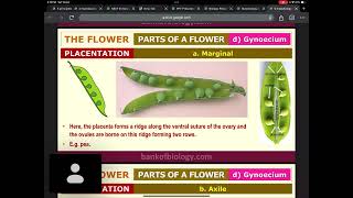 Morphology of Flowering Plants P1 [upl. by Llehcear49]