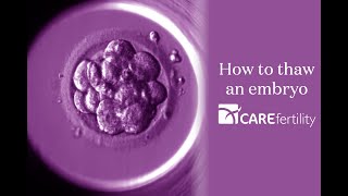 Thawing an embryo in the lab  Care Fertility [upl. by Murvyn]