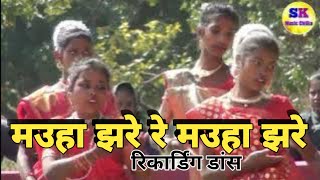 मउहा झरे रे मउहा झरे Mauha jhare re mahua jhare school danceRecording dance [upl. by Ybhsa8]