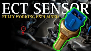 Complete Details About Engine Coolant Temperature Sensor ECT  P0115  P0116  P0117 P0118 P0119 [upl. by Horn]