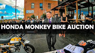 What did the battered HONDA MONKEY BIKE sell for [upl. by Nosylla284]