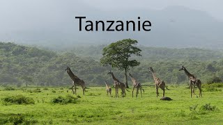 Notre voyage en Tanzanie [upl. by Bernstein]