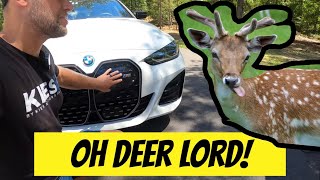 BMW i4 M50 Launch Control Interrupted by a Deer [upl. by Aimac]