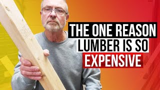 Why Is Lumber SO EXPENSIVE  Lumber Prices 2021 Have Skyrocketed And Here Is The Reason WHY [upl. by Nadean]