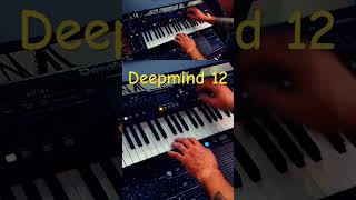 Deepmind 12 revisited deepmind12 behringer echokraft synth music synthesizer [upl. by Moynahan]