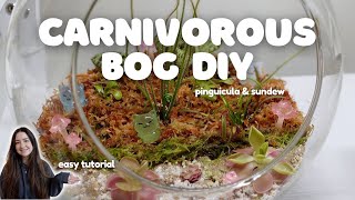 Easy amp Relaxing Carnivorous Plant Bog Terrarium DIY  Pinguicula amp Sundew [upl. by Crispin]