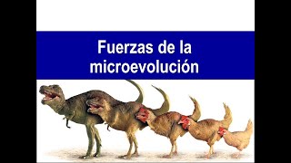 Las fuerzas de la microevolución [upl. by Trebmal]