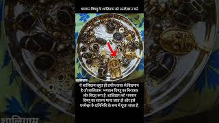 भगवान विष्णु के शालिग्राम अनदेखा न करे vishnu vishnumantra vishnupuran [upl. by Eniluap]