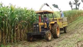 Silagem de milho em Veranópolis  RS  Abril 2014 [upl. by Niamreg]