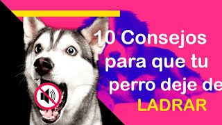 🤫Silencia los Ladridos 10 Pasos Efectivos para Controlar el Ladrido de tu Perro 🐶 [upl. by Remoh]