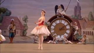 Top Fifteen Female Ballet Variations [upl. by Blancha]