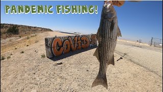 COVID 19 Fishing at California Aqueduct new PB alert [upl. by Einama]