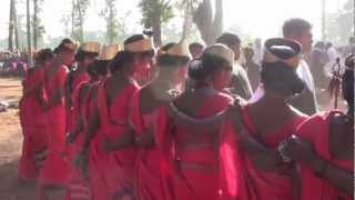 Incroyable danse tribale Bastar dussehra [upl. by Jarlen]