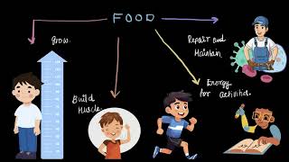 Introduction to Nutrients  Middle School Science  Khan Academy [upl. by Rammus19]