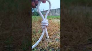 Do you know This Loop Knot Rope Knots m shortsviral how diy [upl. by Maillw]