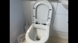 How to remove a toilet seat easy [upl. by Nerland907]