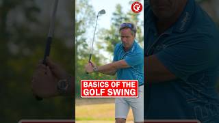 The basics of the golf swing explained shorts [upl. by Bolanger303]