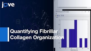 Quantifying Fibrillar Collagen Organization With Curvelet TransformBased Tools l Protocol Preview [upl. by Berti759]