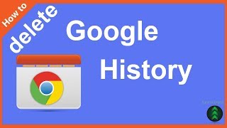 How Do I Permanently Delete My Google History [upl. by Nerrag876]