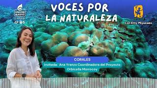 EP6 Corales  Voces por la Naturaleza [upl. by Bumgardner]