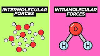 Intermolecular forces and Intramolecular forces  Dipole Dipole Interaction Class 9  Chemistry [upl. by Francisca]