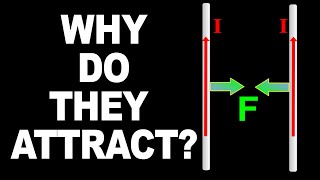 Understanding force between current bearing wires [upl. by Nosnek40]