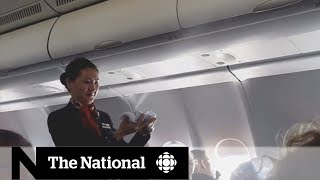 Pesticides on the plane  CBC Go Public [upl. by Oyr]