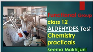 Organic Functional group test for Aldehyde Tollens and Fehlings Class 12 by Seema Makhijani [upl. by Grant806]