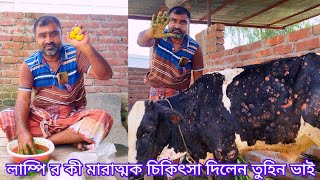 তুহিন ভাই লাম্পির কী মারাত্মক চিকিৎসা দিলেন  জানতে ফুল ভিডিওটা দেখুন [upl. by Otreblasiul]