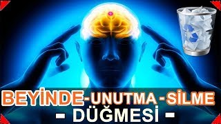 BEYİNDE UNUTMA SİLME DÜĞMESİ VAR [upl. by Daza169]