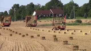 Three New Holland Stack Cruisers At Work [upl. by Aicenet]