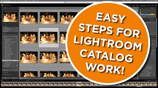 Simple steps to mastering the Lightroom Classic Catalog [upl. by Ahsier647]