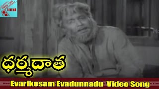 Evarikosam Evadunnadu Video song  Dharma Daata Movie  ANR Kanchana  MovieTimeCinema [upl. by Stig888]