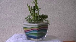 グラスハウスのサンドアートの観葉植物 [upl. by Nnaear]