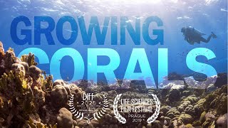 Growing Corals – Our Approach to Restore Coral Reefs Around the World [upl. by Cleodal]