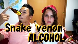 JAPANESE FOOD  Snake Venom Alcohol Habushu  habu sake [upl. by Haroppizt]