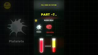 Blood Platelets  Blood composition  science bloodcells [upl. by Oak]