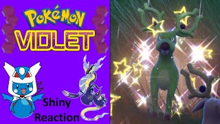 Pokemon Violet Shiny Stantler Reaction [upl. by Hedelman]