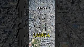 なぜ関西国際空港への鉄道は赤字5000万で廃止されたのか？ 地理 shorts [upl. by Cristian996]