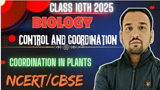 Control and Coordination  Coordination in plants  Class 10 Biology Chapter 6 [upl. by Nnahgem170]