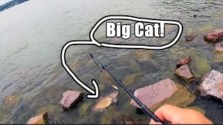 Epic Catfish Battle At Warner Park fishing catfishing wisconsin [upl. by Jt]