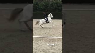 See yay horses equestrian dressage fails [upl. by Okiron819]