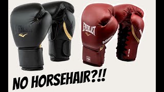 Everlast MX 2 BOXING GLOVES TRUTH UNVEILED [upl. by Corb]