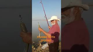 Game of spoons fishing basicknowledge fishing [upl. by Carly]