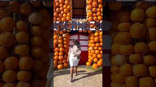 Citrouille Ville Pumpkin Village with my pumpkin 🧡citrouilleville montreal montrealtravel [upl. by Stokes]