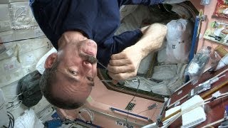 Astronaut Chris Hadfield and Chef David Chang Test Gourmet Space Food [upl. by Sam]