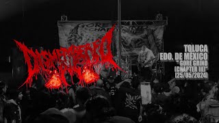 DISMEMBERED PIG 26052024  GORE GRIND  PARTE III TOLUCA [upl. by Ailisab908]