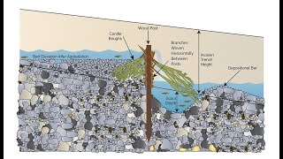 Triple Creek Virtual Field Guide Q6 How do you choose post length [upl. by Thirion]