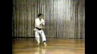 Kanazawa Hirokazu Gankakusho Kata amp Bunkai 1994 [upl. by Akinnor342]