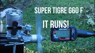 Super Tigre G60 F It Runs [upl. by Anirtap]